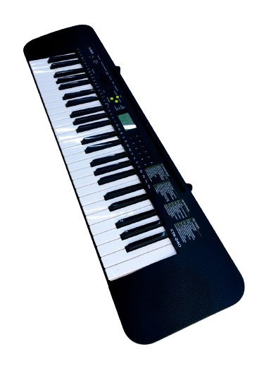 Casio studio keyboard